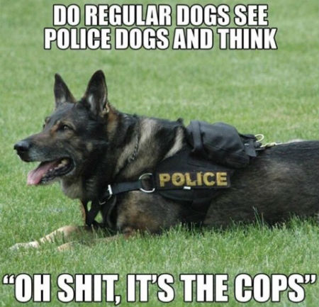 cop dogs.jpg